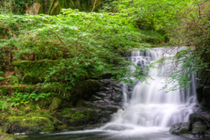 Podcast post - Ginny Lunn