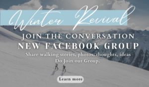 November newsletter header