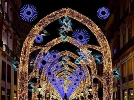 Malaga Christmas Lights