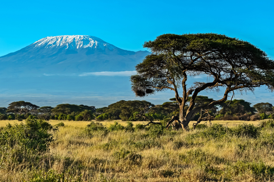 Kenya - Kilimanjaro