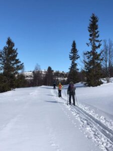 Norway Winter Wonderland
