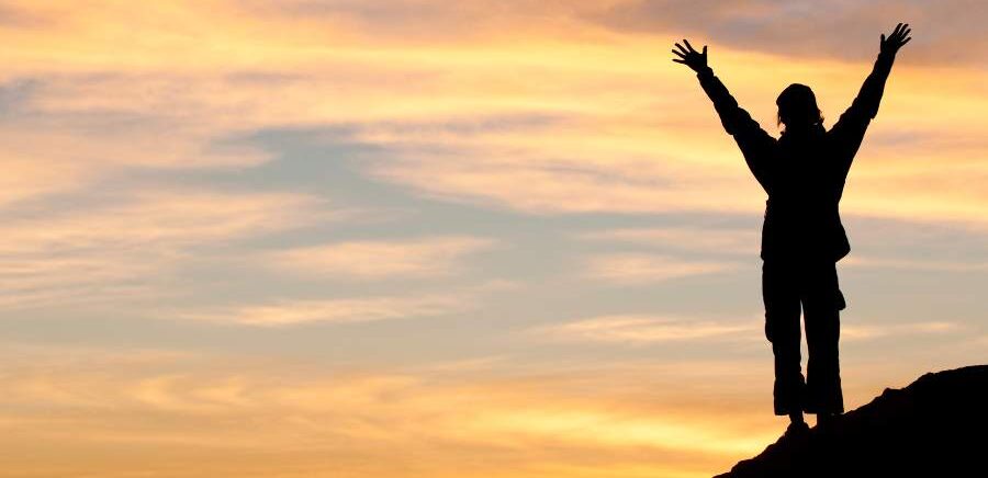 Goat Fit - Silhouette