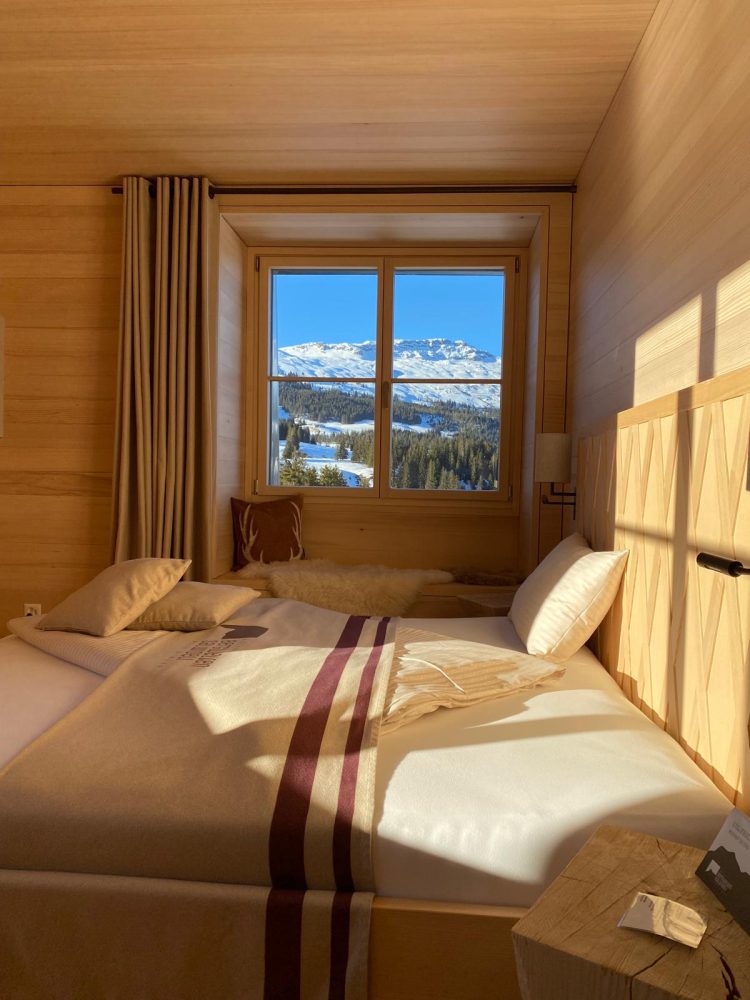 Switzerland snowshoes