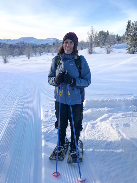 Norway Northern Lights